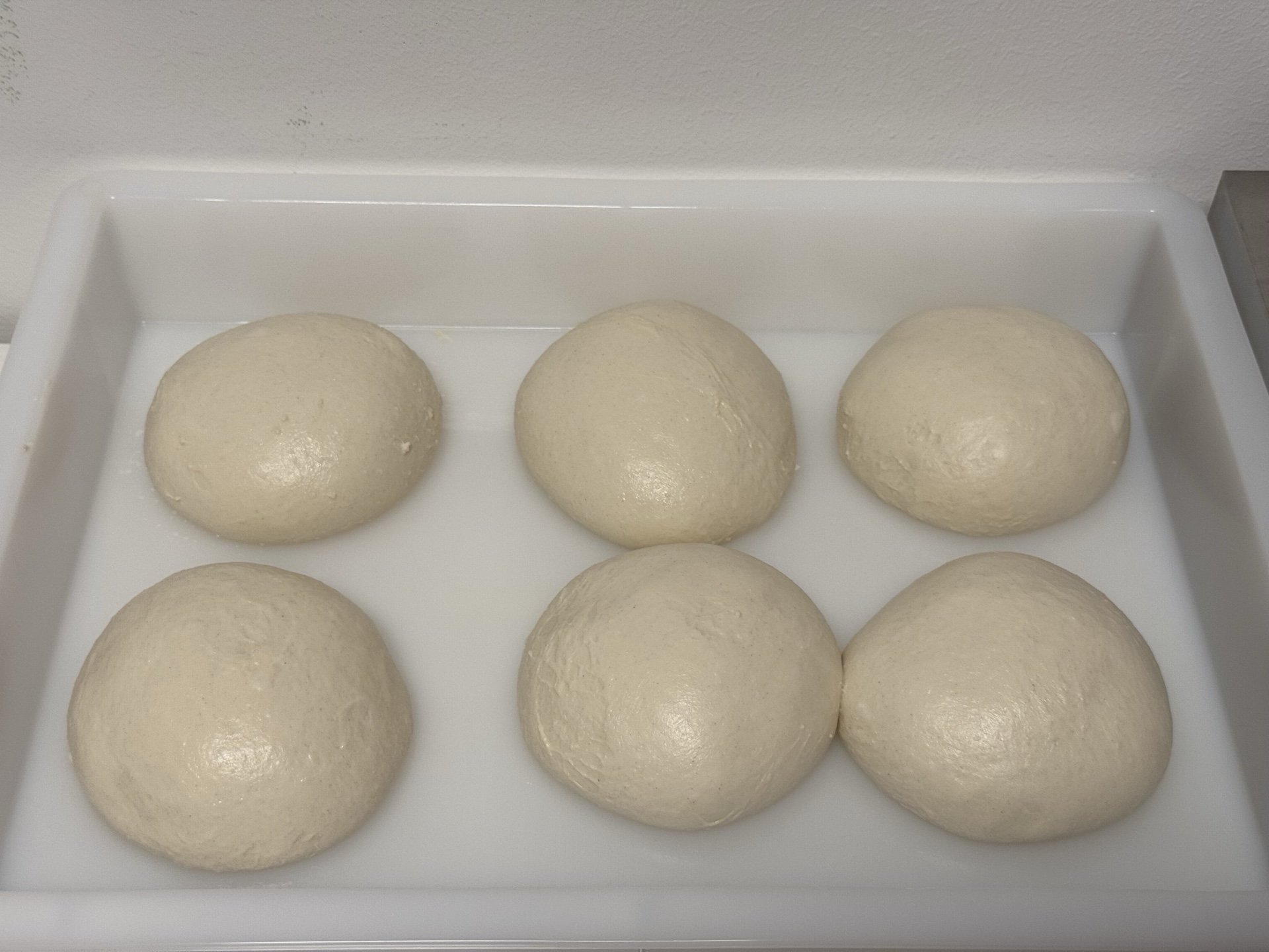 Frisch gerollte Pizzateig-Ballen in der Box – bereit für die Kaltgare