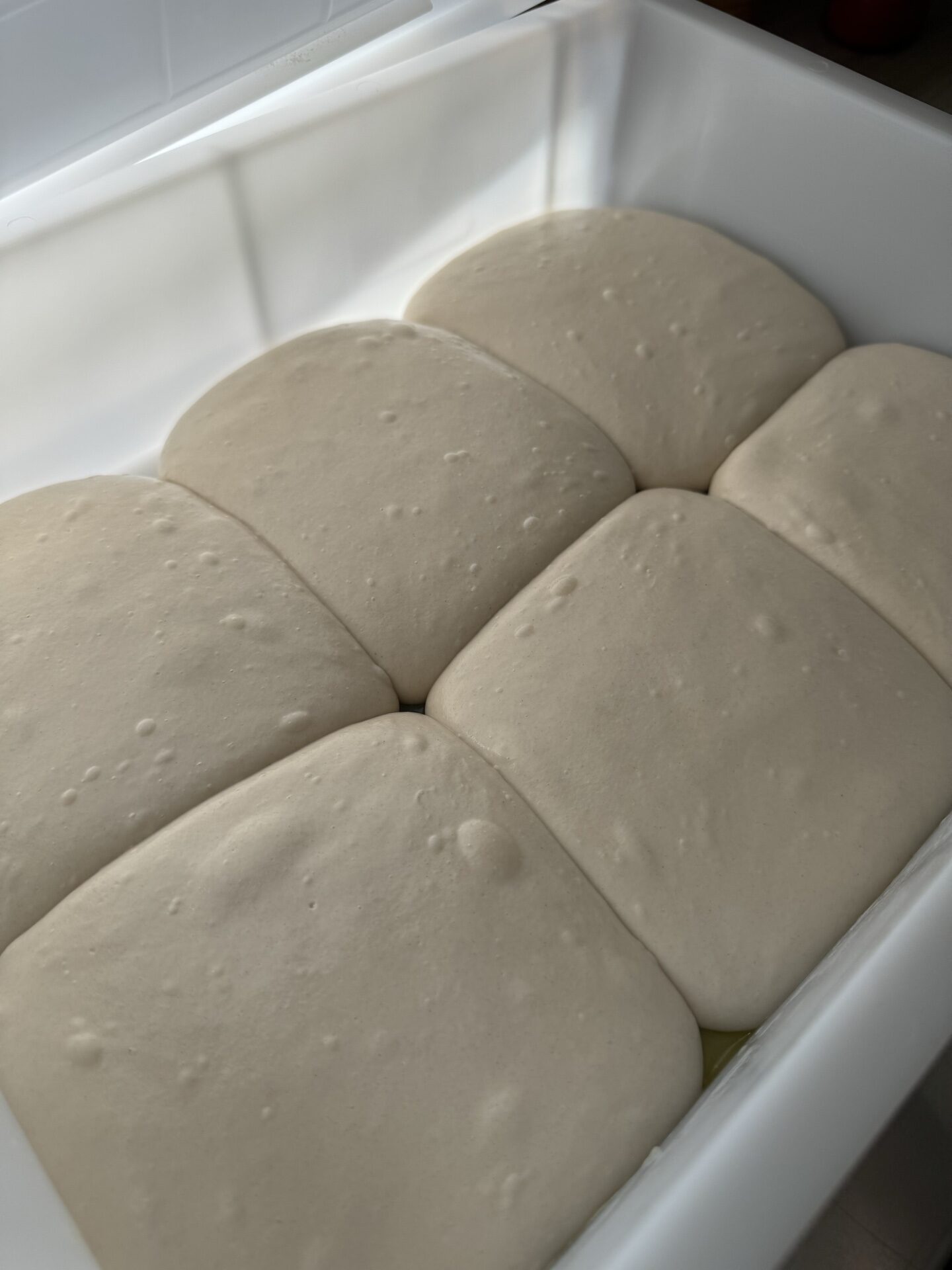 Pizzateig-Ballen nach 48 bis 72 Stunden Kaltgare – luftig und gut aufgegangen