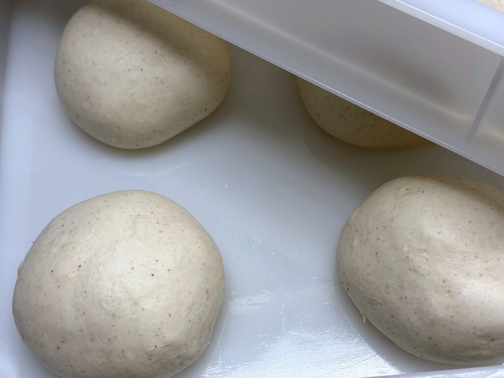Mehrere Teigballen in der Gare-Box, alle mit gleichmäßig verteilten braunen Punkten