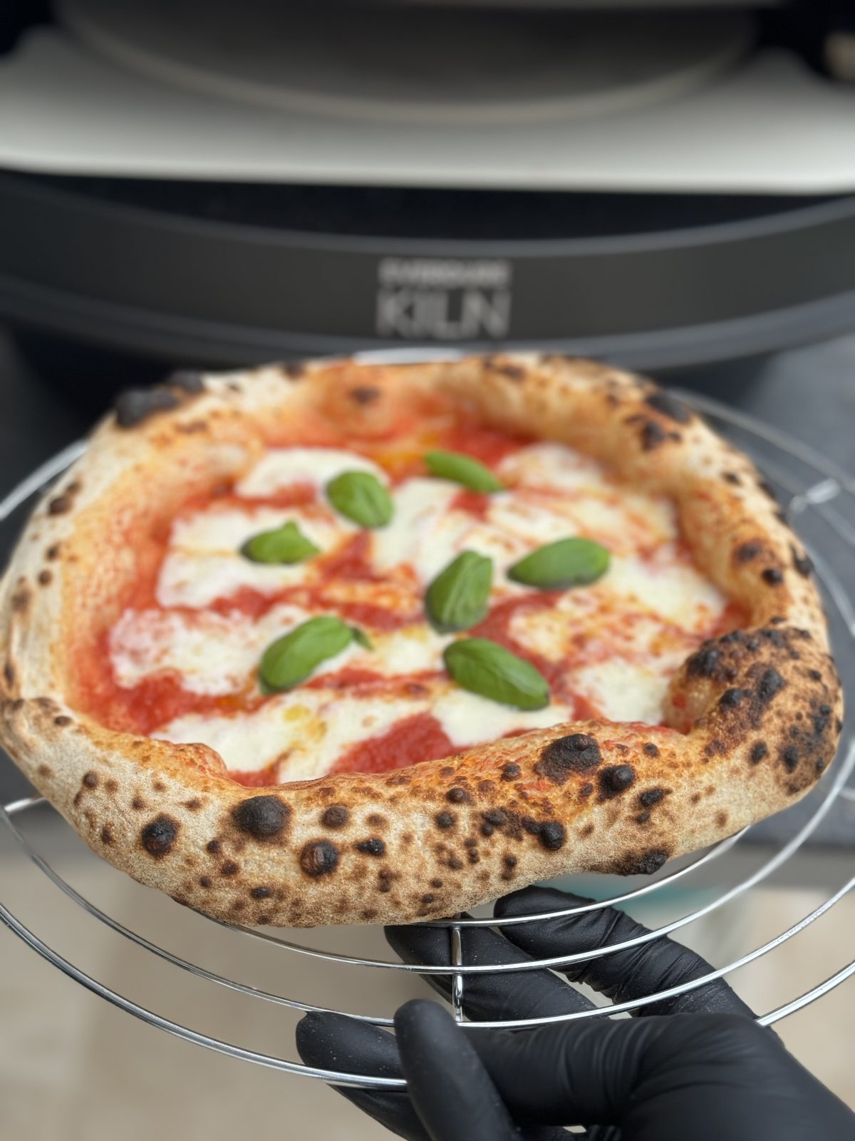 Frisch gebackene Margherita mit Leopardenflecken, gehalten vor dem Pizzaofen