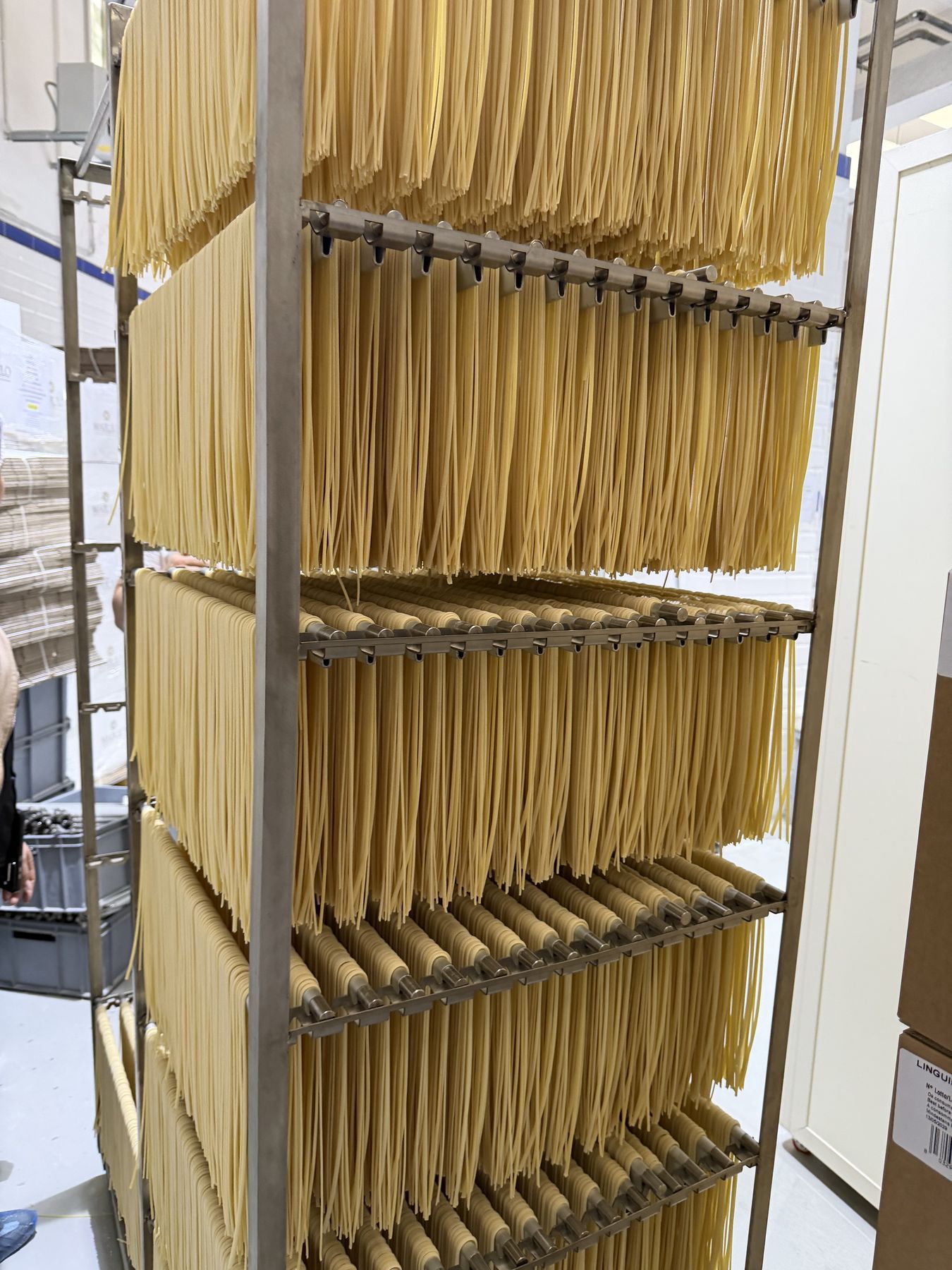Frische Pasta hängt zum Trocknen auf Metallgestellen im Pastificio Marulo