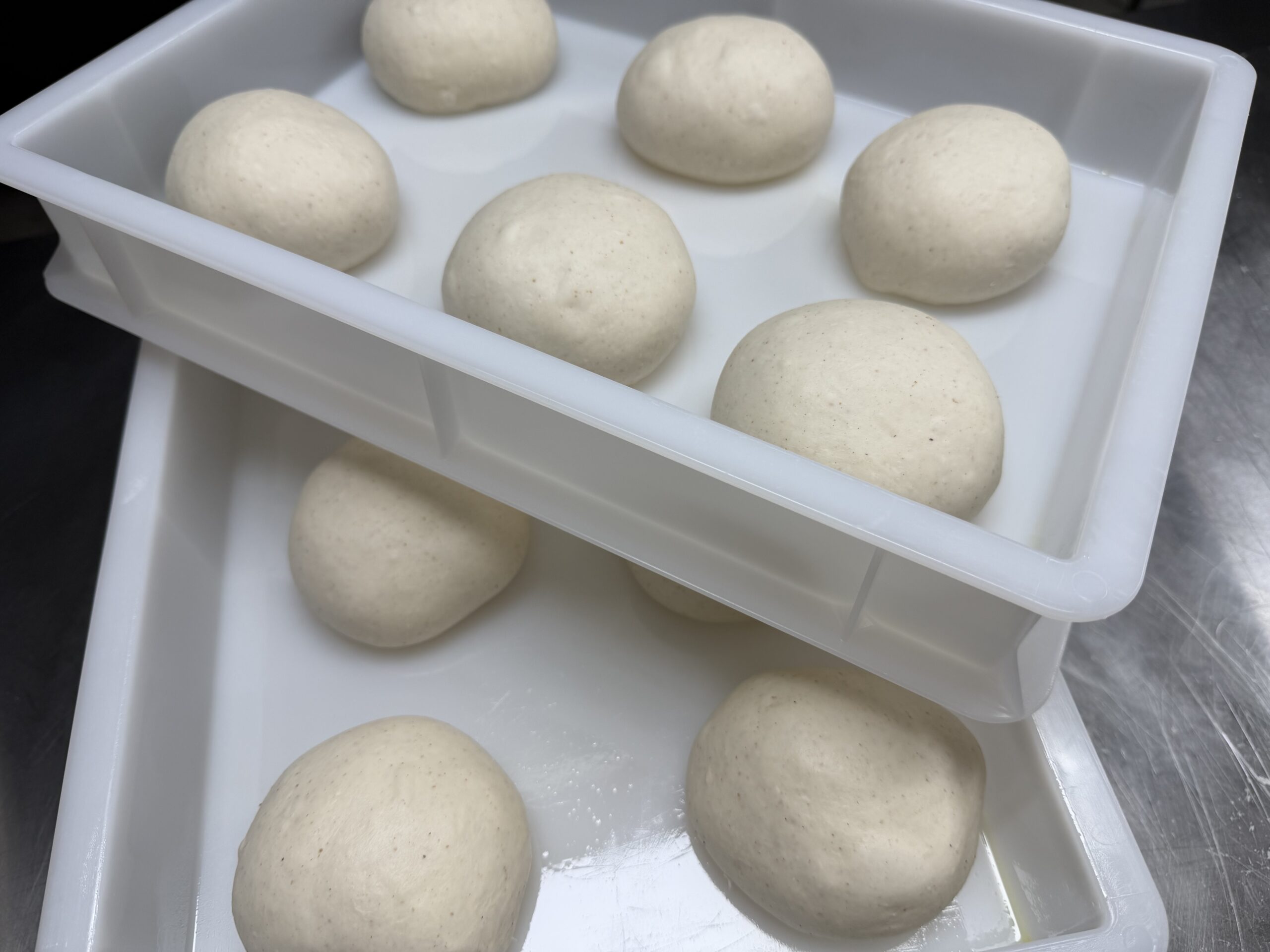 Frisch geformte Pizza-Teiglinge in der Teigballenbox, bereit für die Stückgare