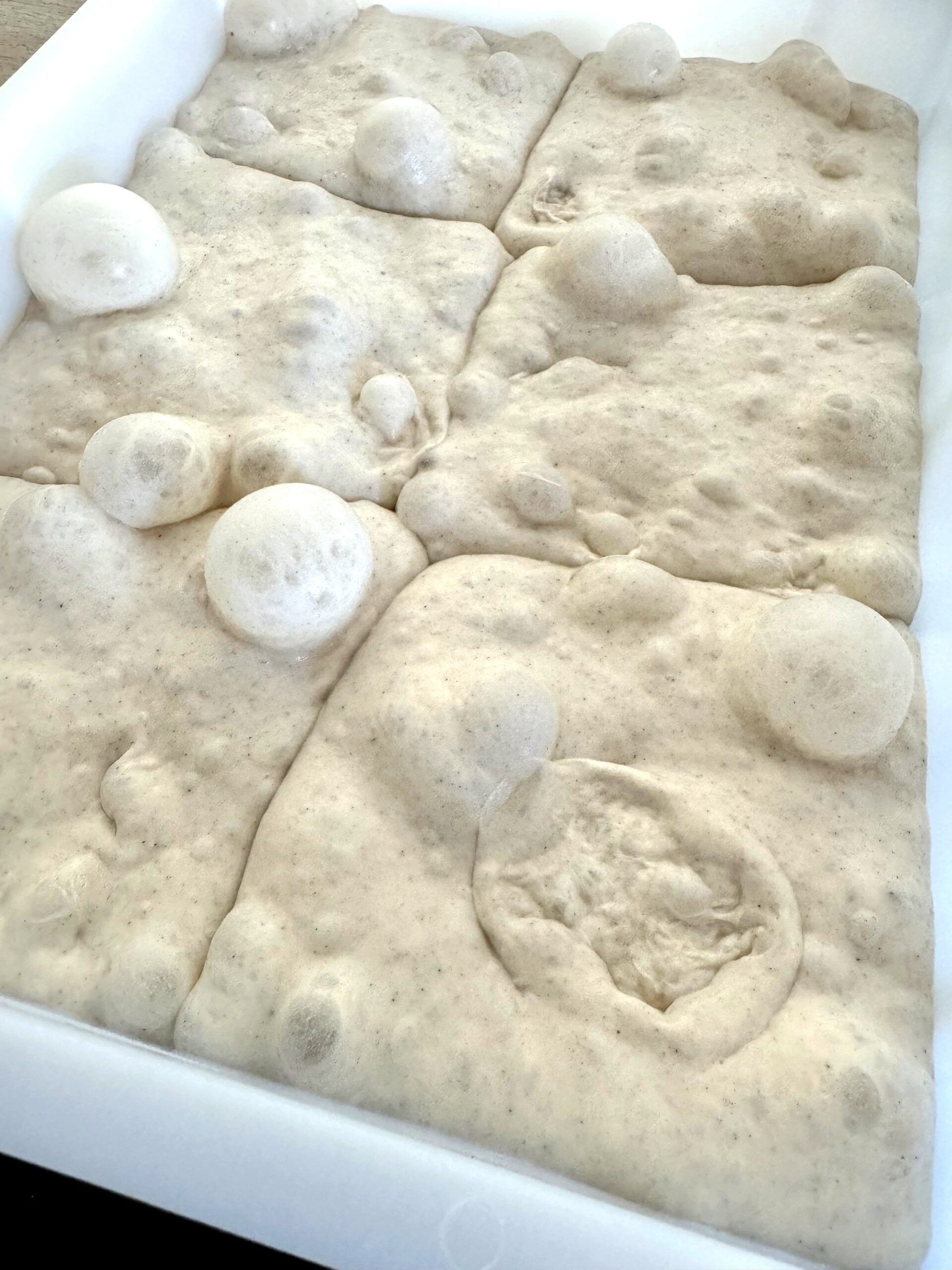 Extrem übergarer Pizzateig mit riesigen zusammengeflossenen Luftblasen in der Teigbox