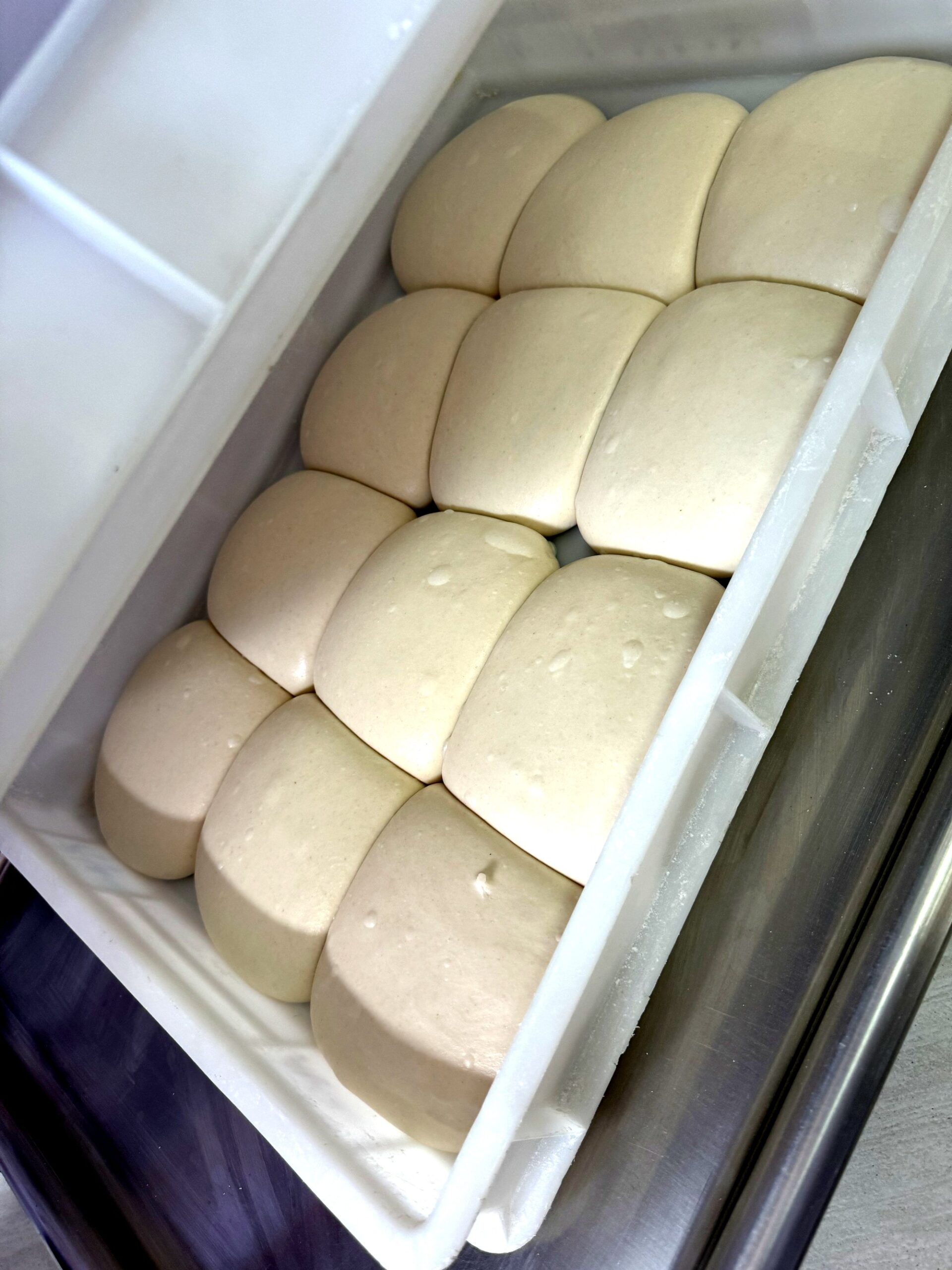 Normal gegangene, glänzende Pizzateiglinge im Kühlschrank, ohne Anzeichen von Übergare